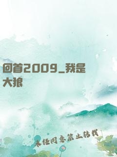 回首2009