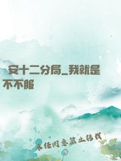 國安十二分局