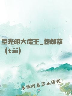 圣光明大魔王
