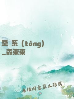 圣劍系統(tǒng)