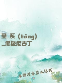 圣劍系統(tǒng)