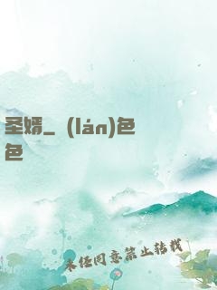 圣婿