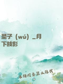 圣子無(wú)敵