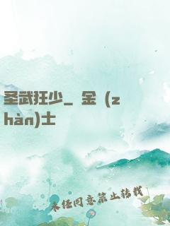 圣武狂少