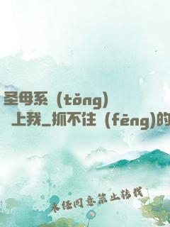 圣母系統(tǒng)纏上我