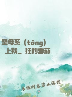 圣母系統(tǒng)纏上我