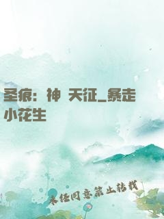 圣痕：神羅天征