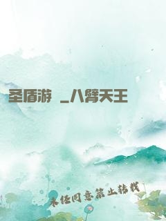 圣盾游戲