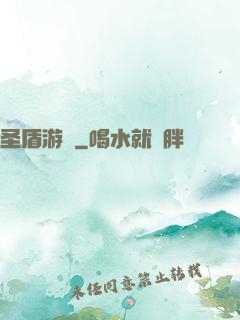 圣盾游戲