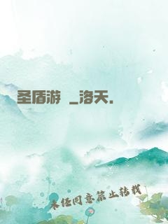 圣盾游戲