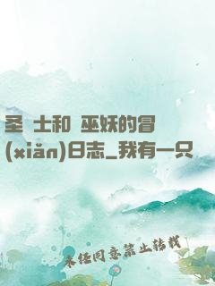圣騎士和瘋巫妖的冒險(xiǎn)日志