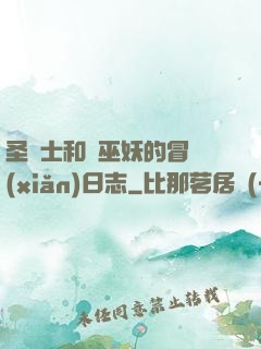 圣騎士和瘋巫妖的冒險(xiǎn)日志
