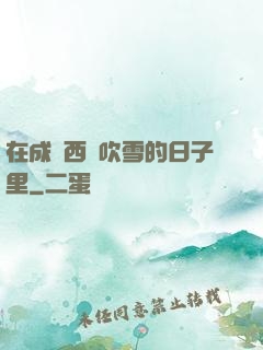 在成為西門吹雪的日子里