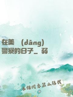 在美國當(dāng)警察的日子