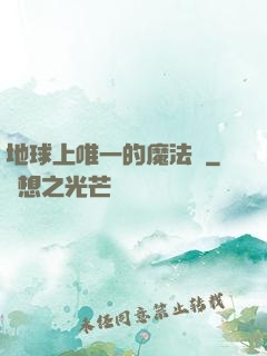 地球上唯一的魔法師