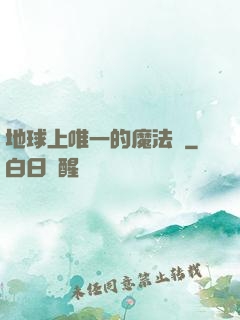 地球上唯一的魔法師