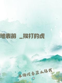 地表前線