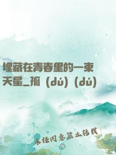 埋藏在青春里的一束滿天星