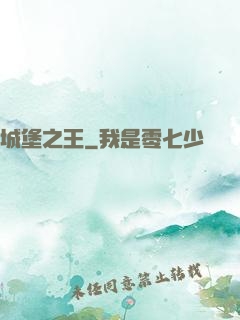城堡之王