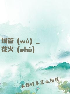 城管無(wú)敵