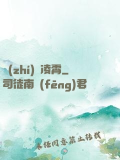 執(zhí)劍凌霄