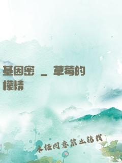 基因密碼