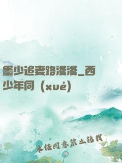 墨少追妻路漫漫