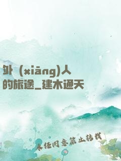 外鄉(xiāng)人的旅途