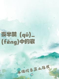 夜半禁區(qū)