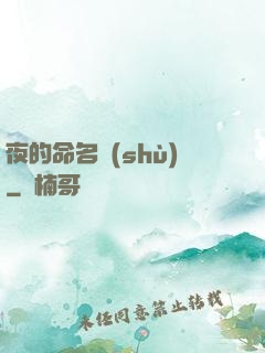夜的命名術(shù)