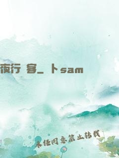 夜行駭客