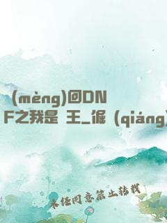 夢(mèng)回DNF之我是槍王