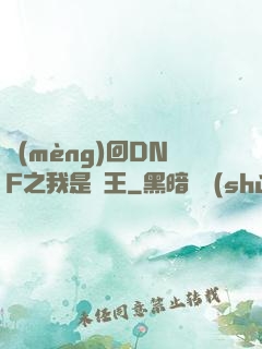 夢(mèng)回DNF之我是槍王