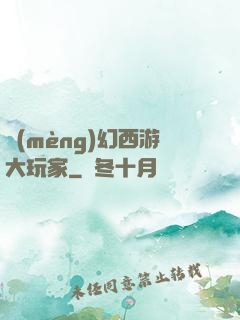 夢(mèng)幻西游大玩家
