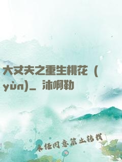 大丈夫之重生桃花運(yùn)