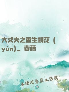 大丈夫之重生桃花運(yùn)