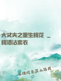 大丈夫之重生桃花運