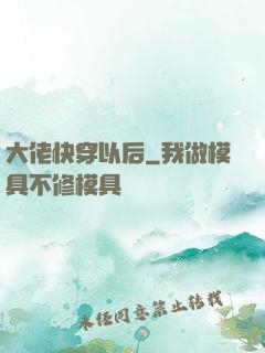 大佬快穿以后