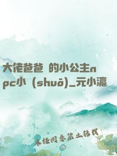大佬爸爸們的小公主npc小說(shuō)