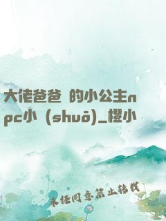 大佬爸爸們的小公主npc小說(shuō)