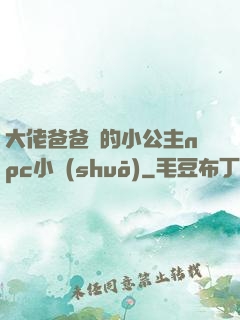大佬爸爸們的小公主npc小說(shuō)