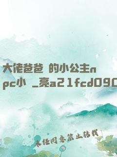 大佬爸爸們的小公主npc小說