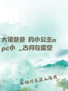 大佬爸爸們的小公主npc小說