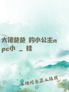 大佬爸爸們的小公主npc小說