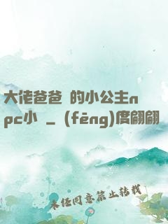 大佬爸爸們的小公主npc小說