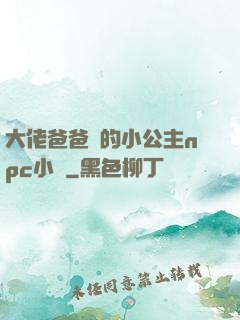 大佬爸爸們的小公主npc小說