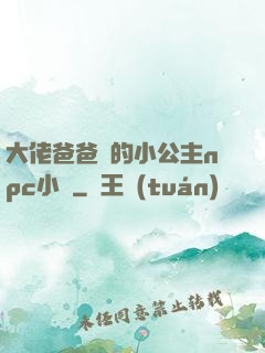 大佬爸爸們的小公主npc小說