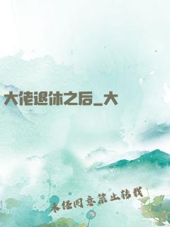 大佬退休之后