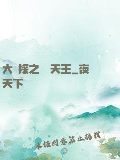 大偵探之娛樂天王