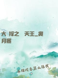 大偵探之娛樂天王
